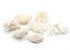 little wonders coral 7 pieces